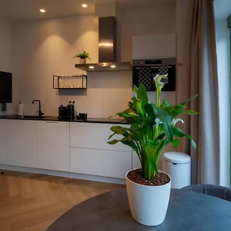 Pacific Residences - Antverpy